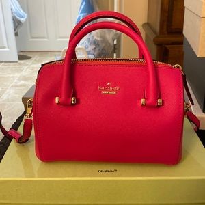 Kate Spade mini purse